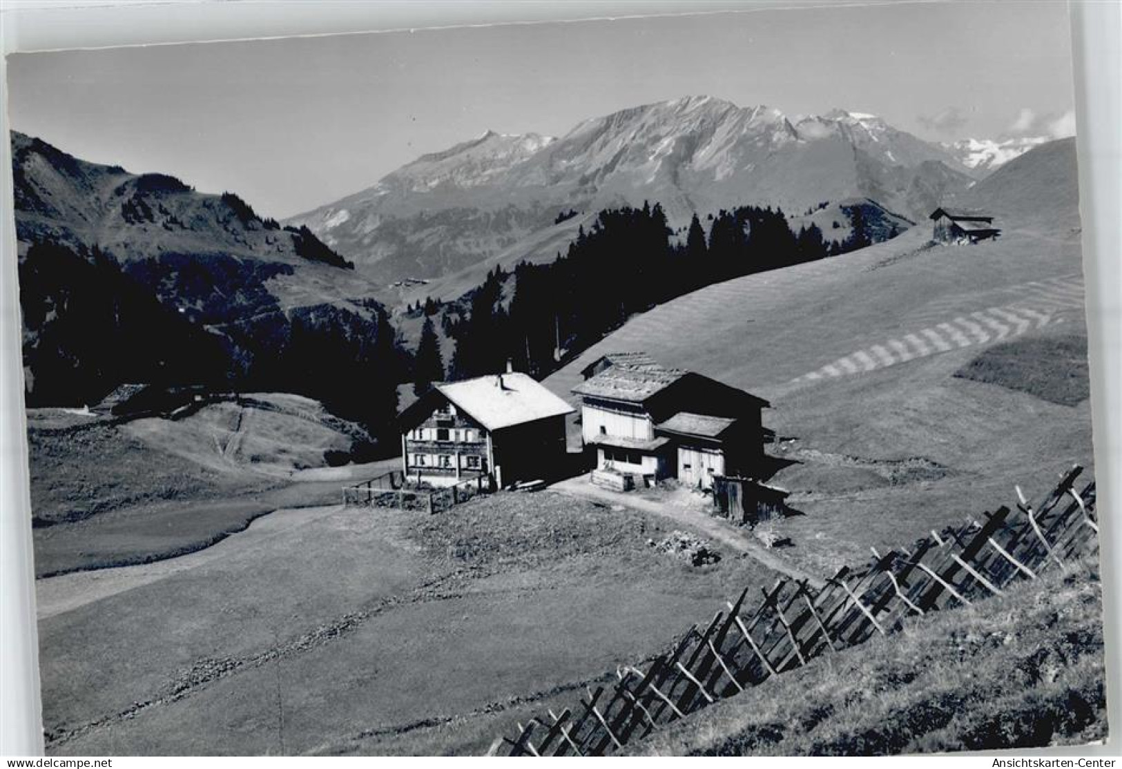 51314325 - Furna
