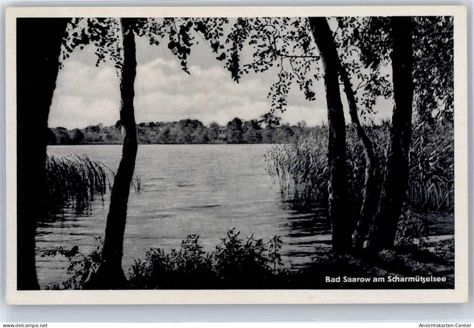 51321818 - Bad Saarow