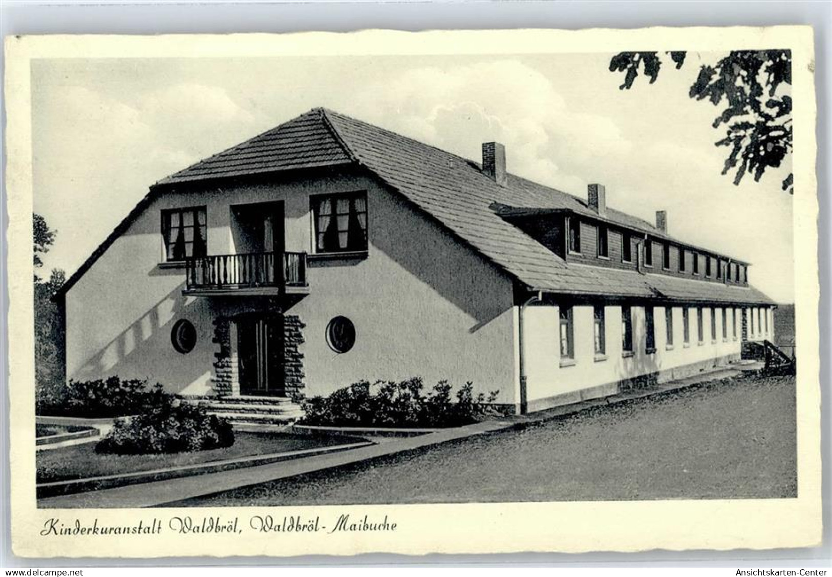 51338573 - Waldbroel