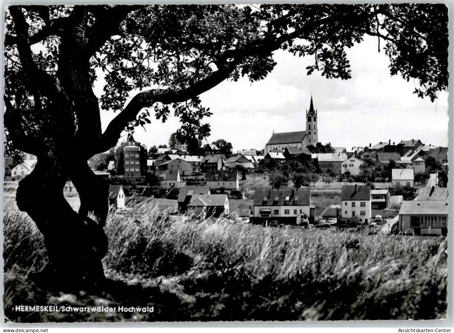 51346946 - Hermeskeil