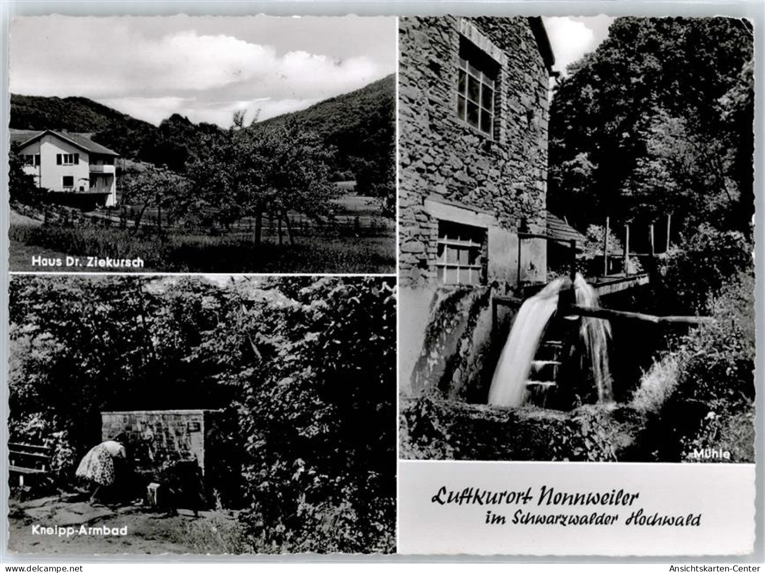 51372719 - Nonnweiler