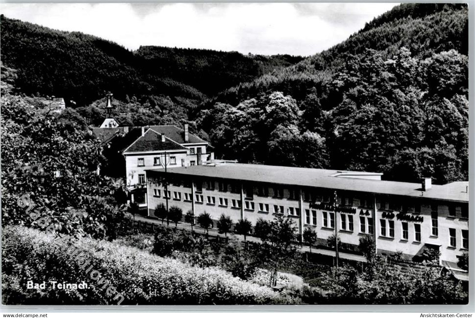 51374954 - Bad Teinach
