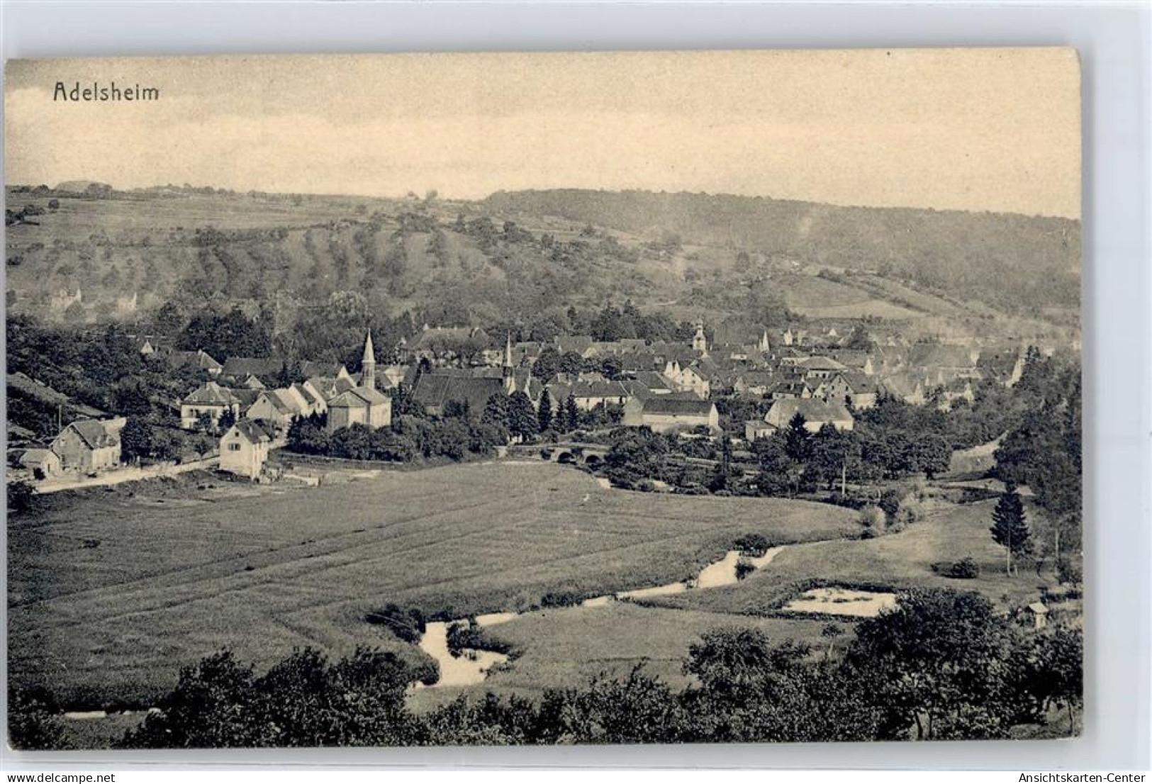 51389425 - Adelsheim