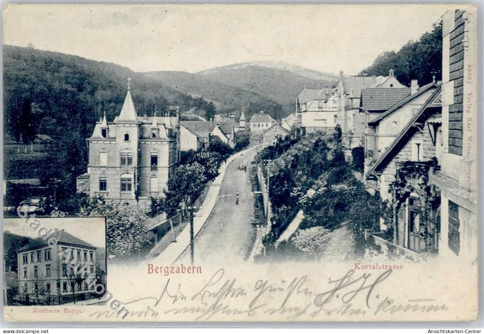 51390941 - Bad Bergzabern