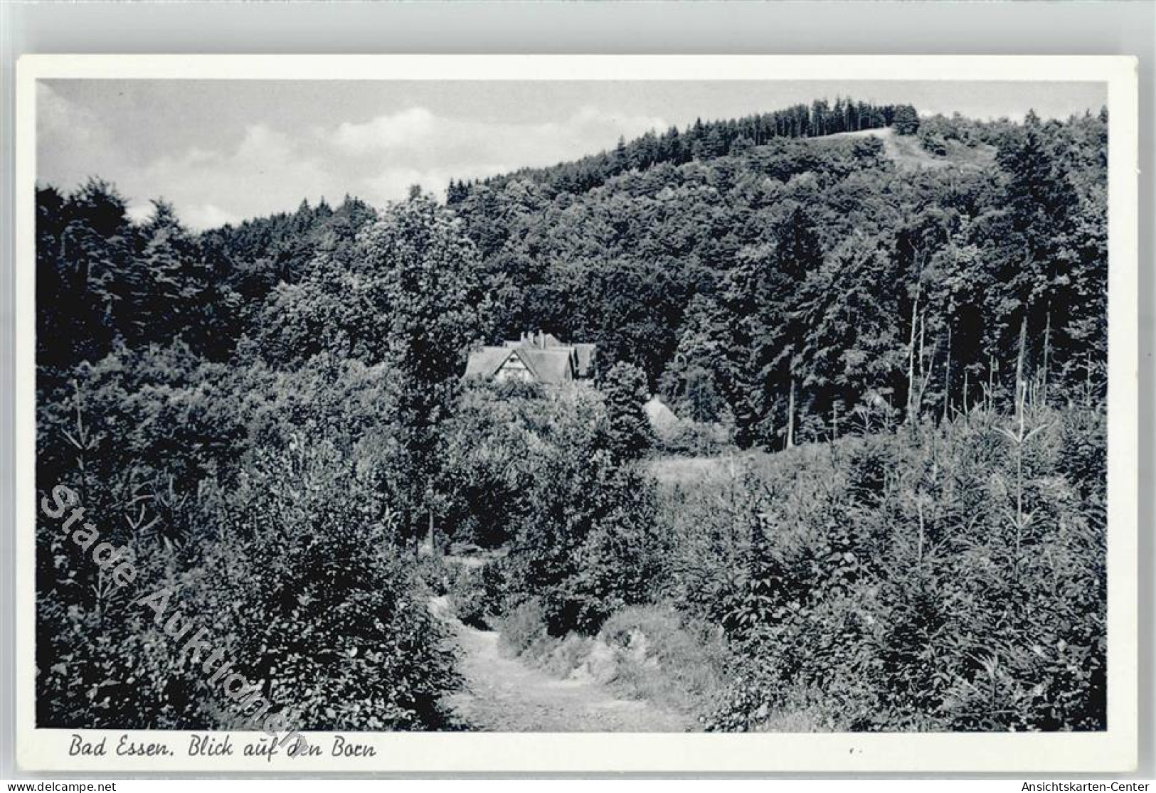 51391389 - Bad Essen