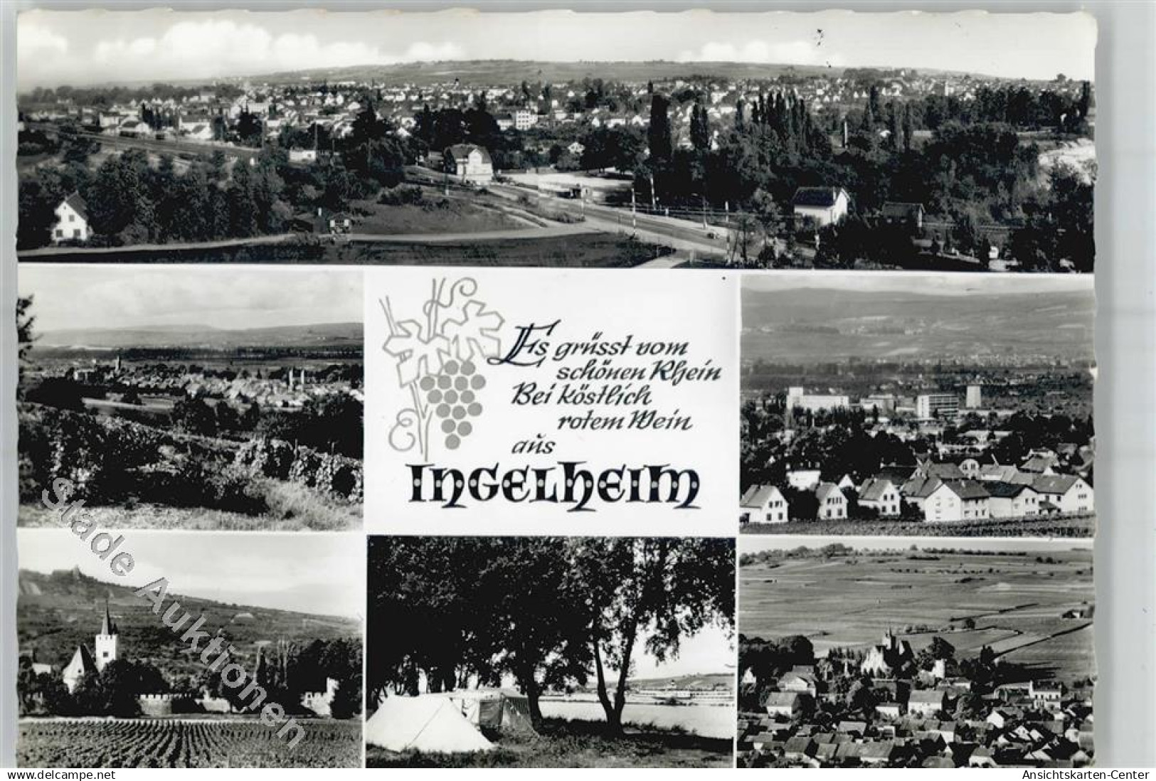 51391605 - Ingelheim am Rhein