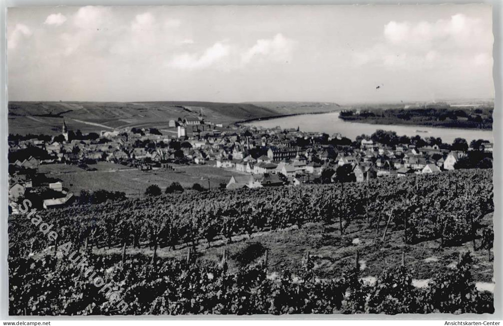 51391627 - Nierstein