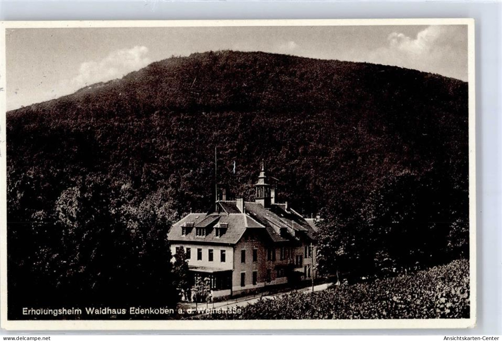 51403491 - Edenkoben
