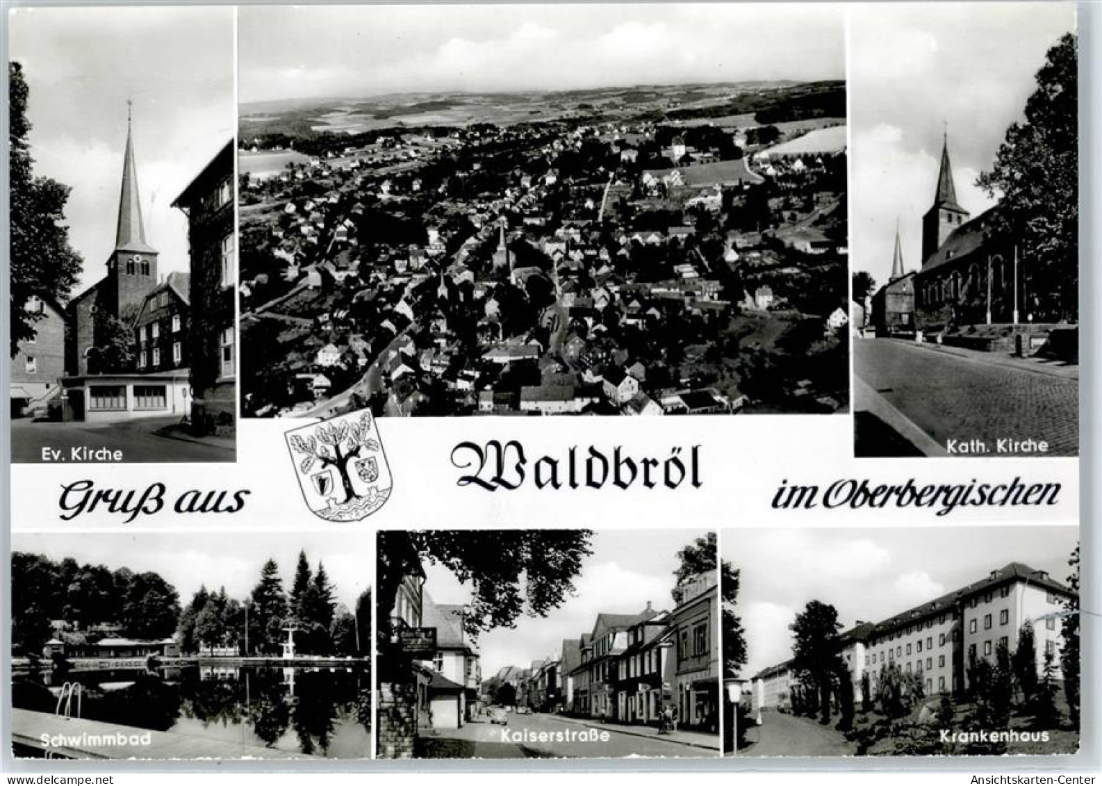 51407417 - Waldbroel