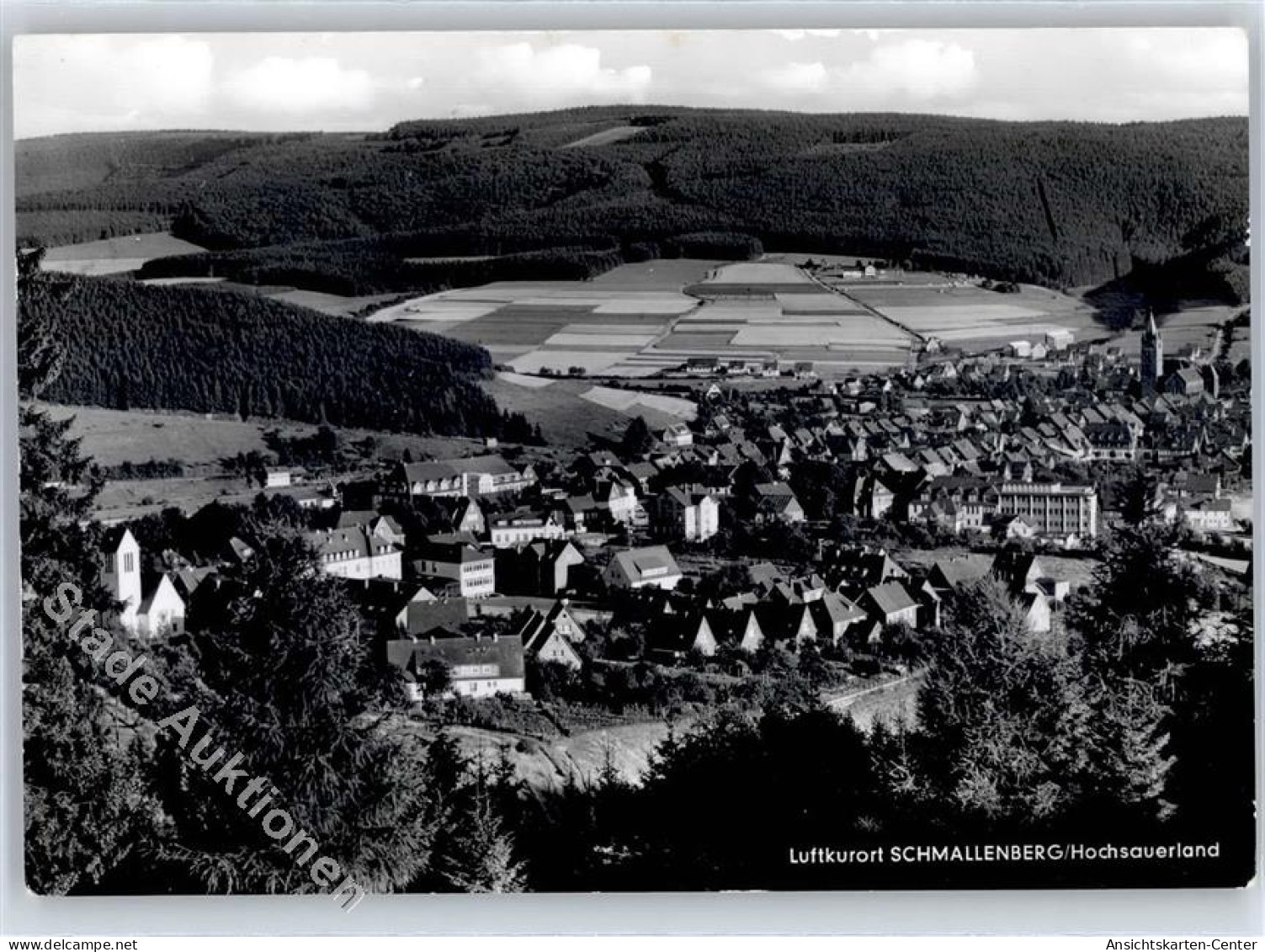 51408130 - Schmallenberg