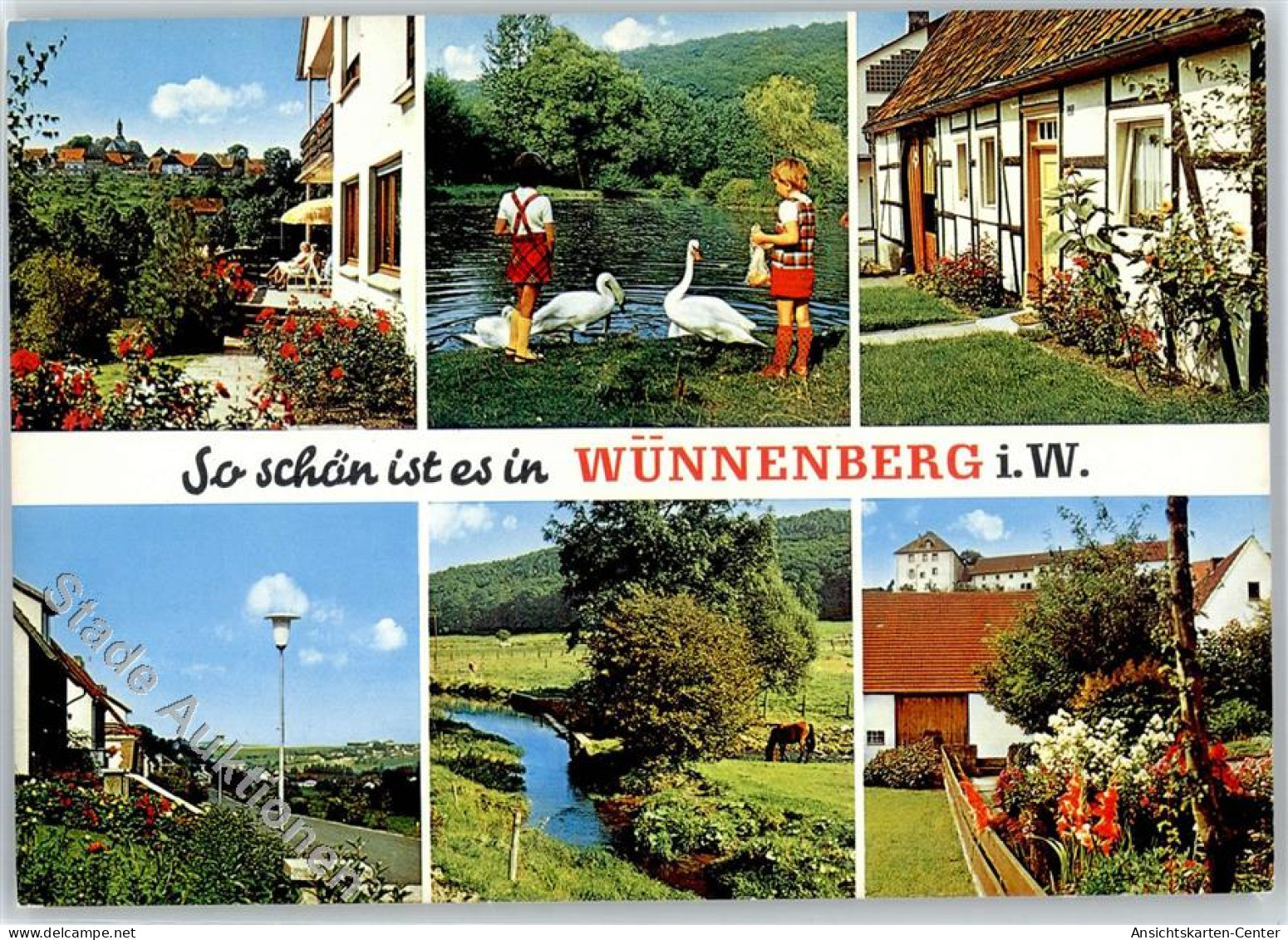 51408558 - Wuennenberg
