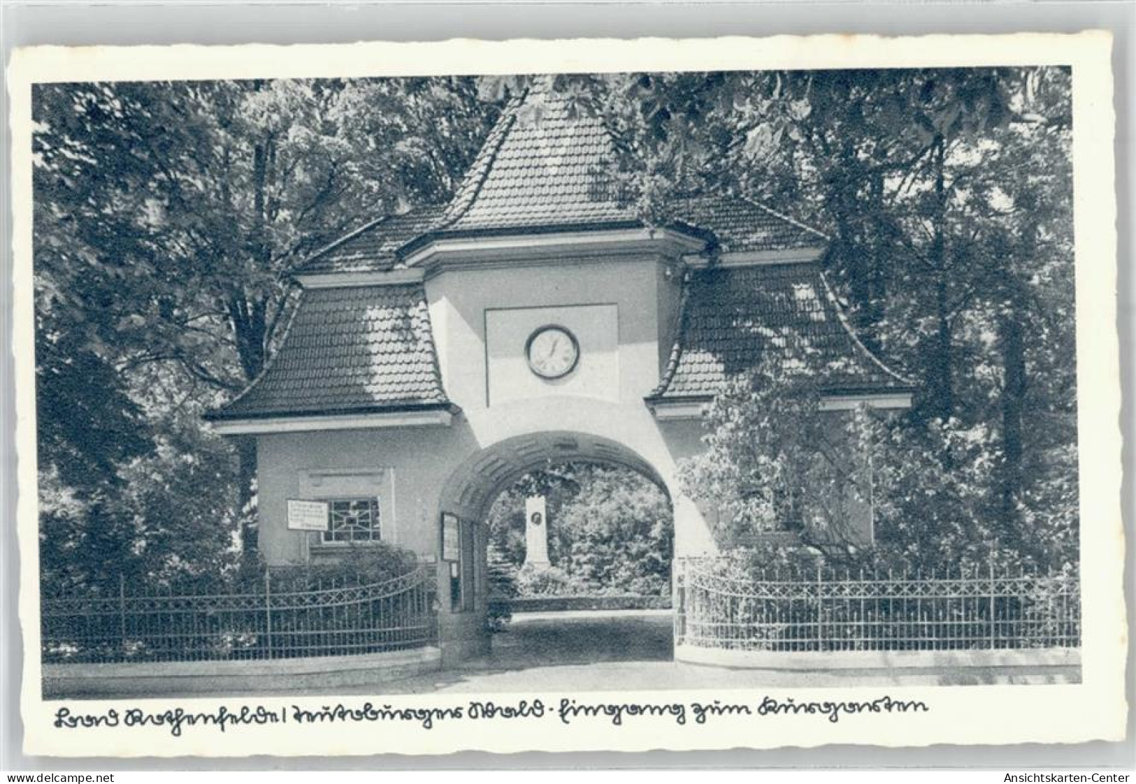 51411239 - Bad Rothenfelde