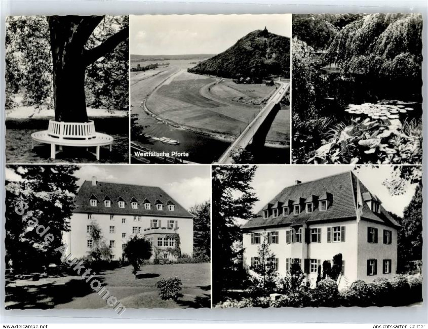 51411857 - Holzhausen