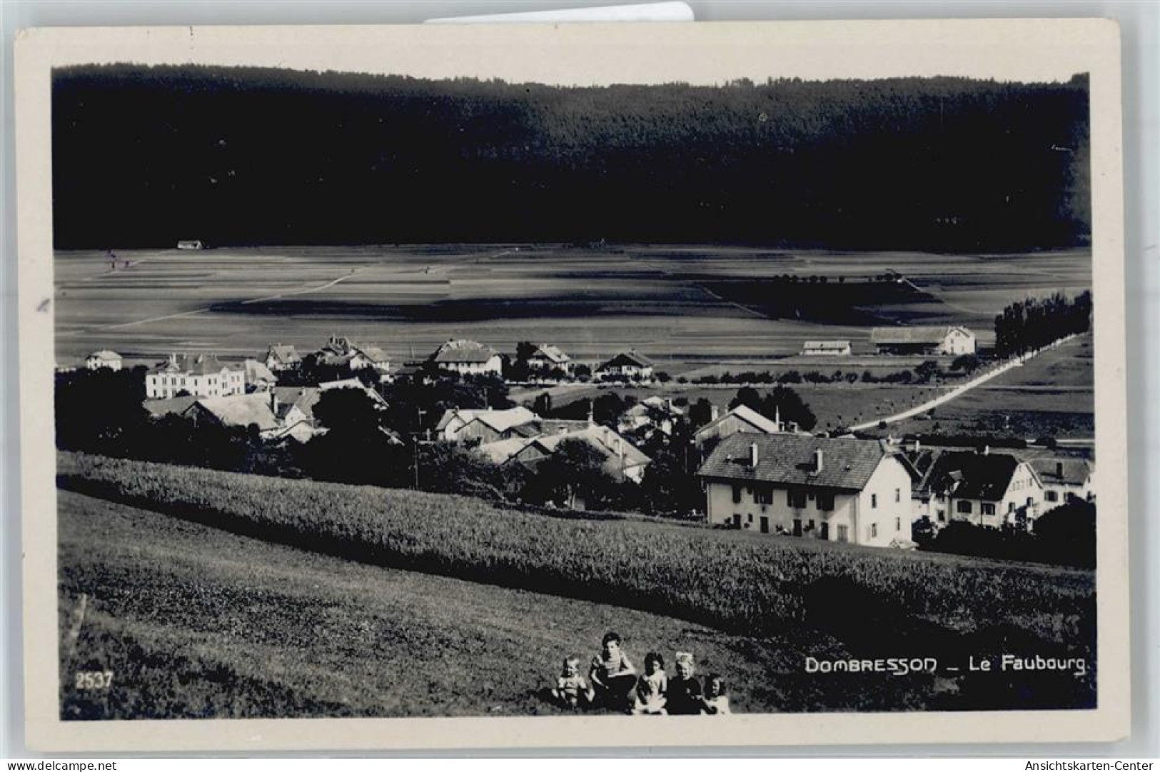 51421578 - Dombresson