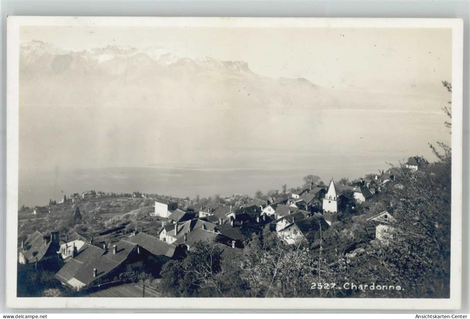 51421610 - Chardonne