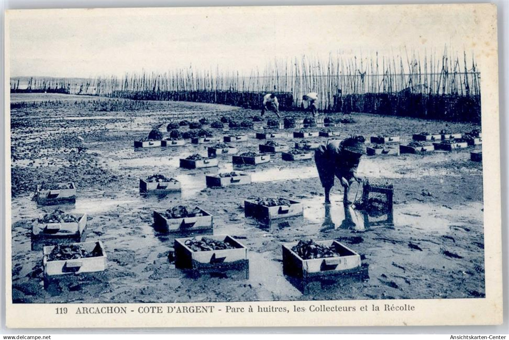 51428174 - Arcachon