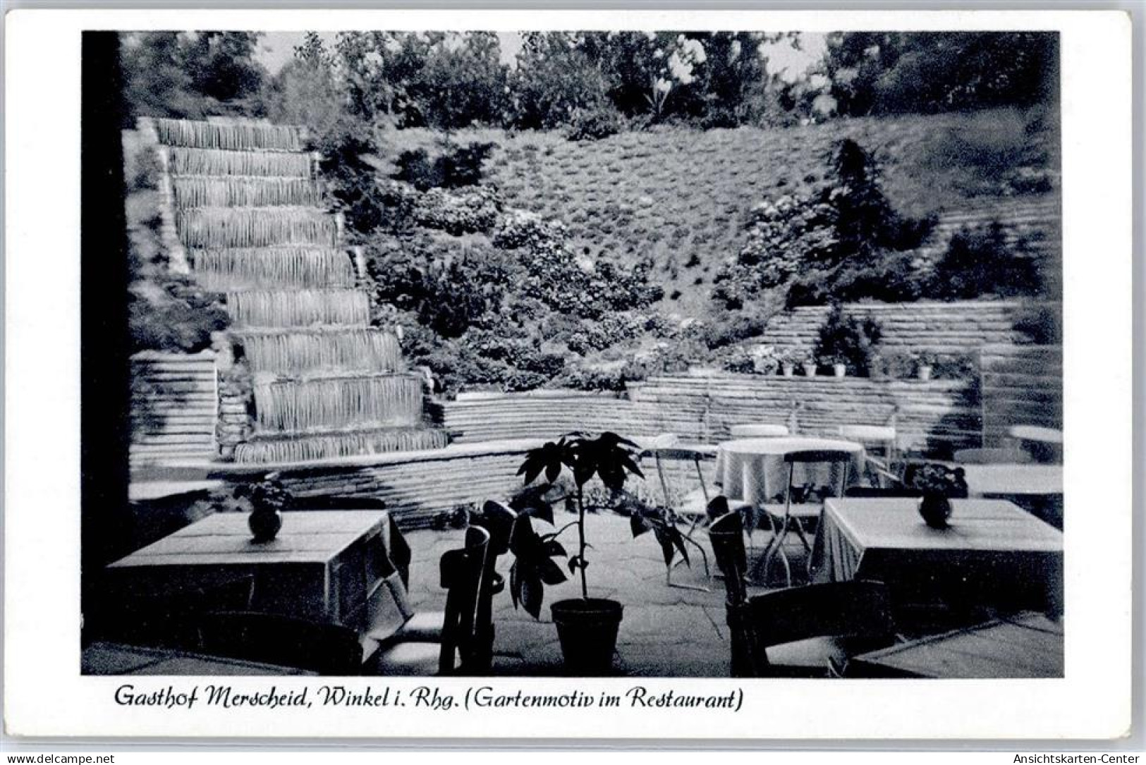 51431297 - Oestrich-Winkel