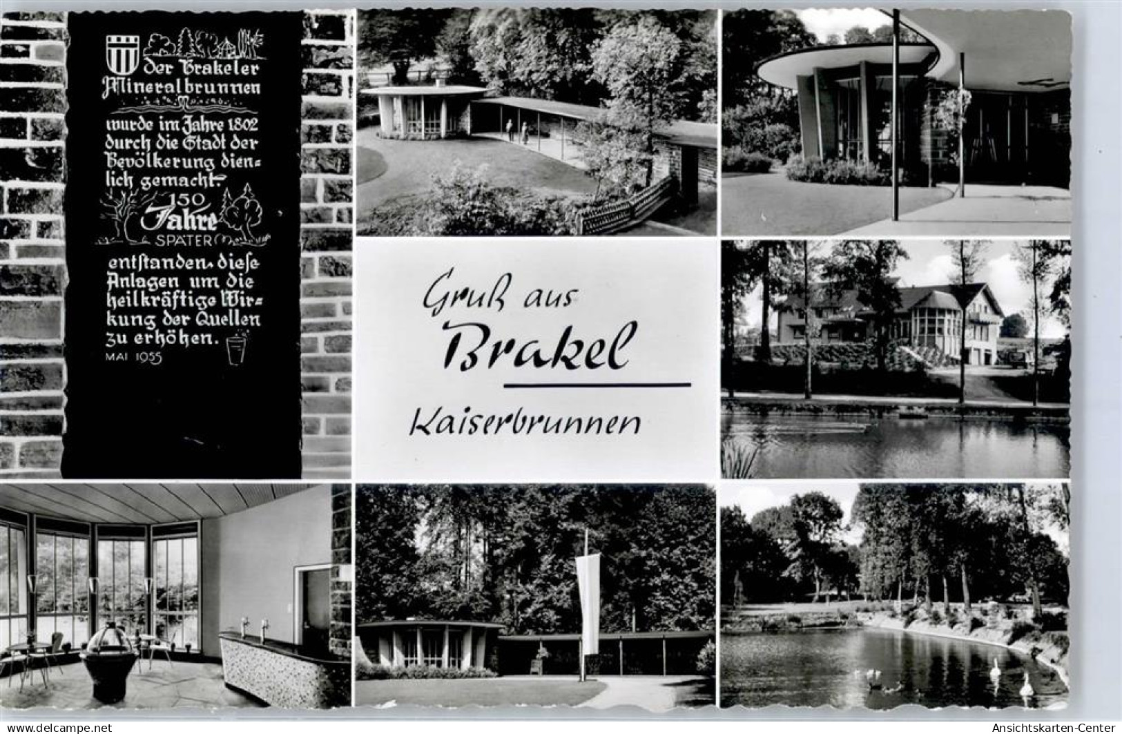 51433135 - Brakel , Westf