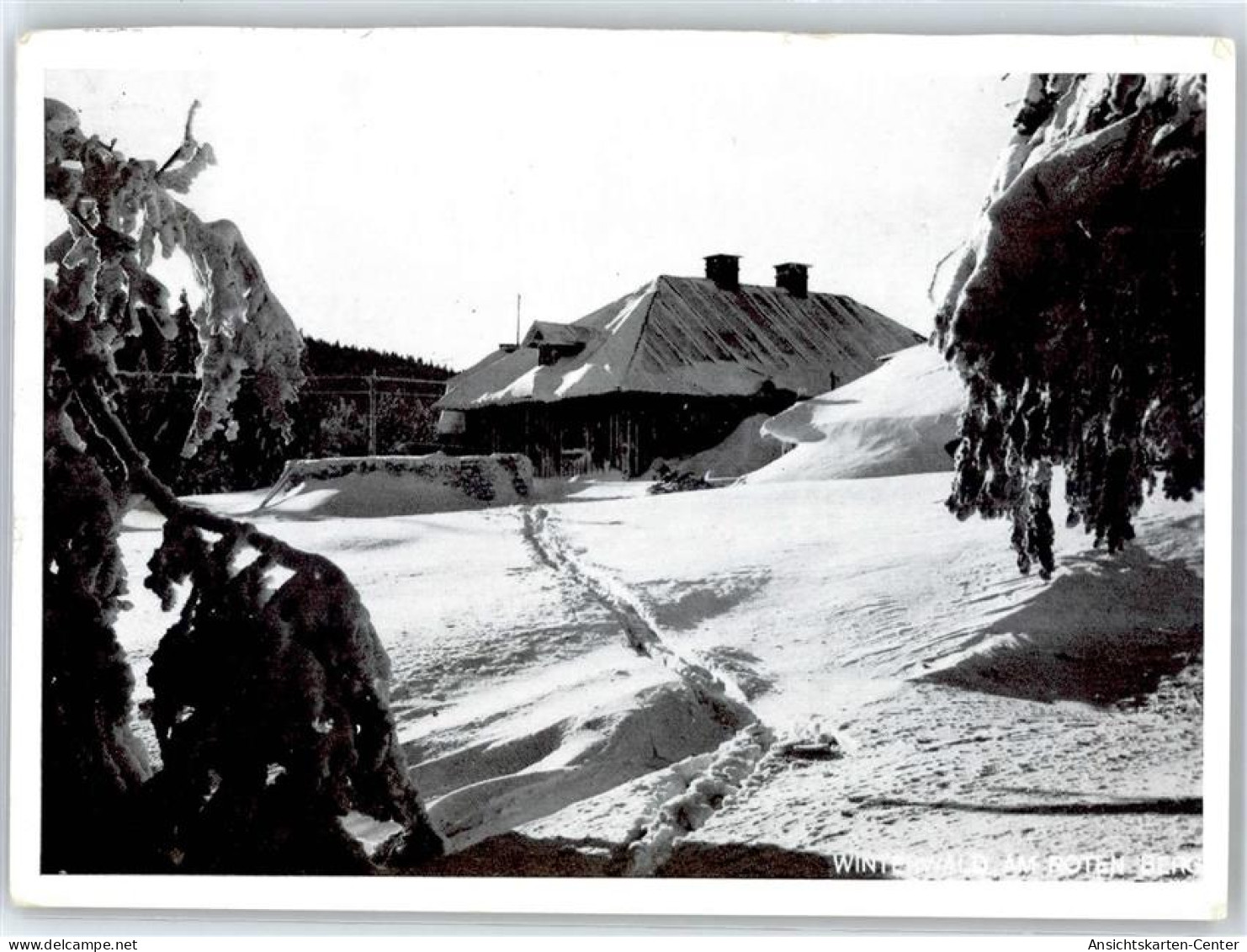 51434356 - Steinheim am Main