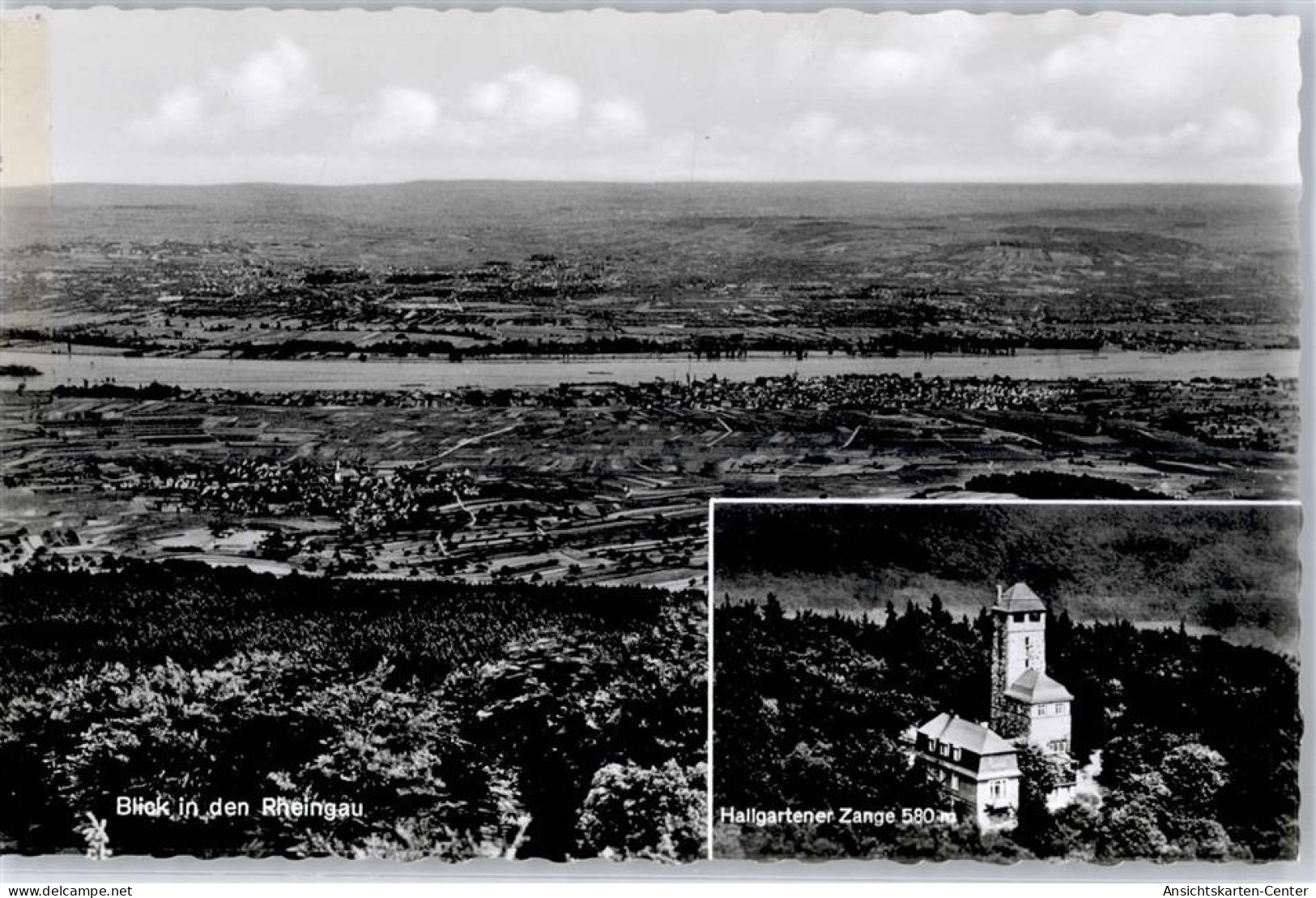 51435089 - Hattenheim , Rheingau