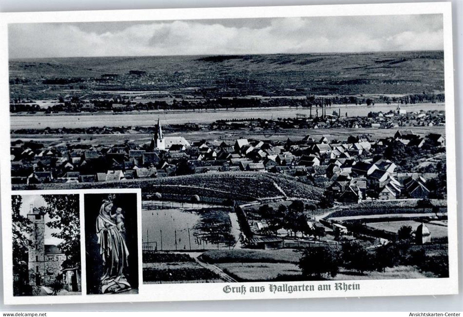 51435100 - Hallgarten , Rheingau