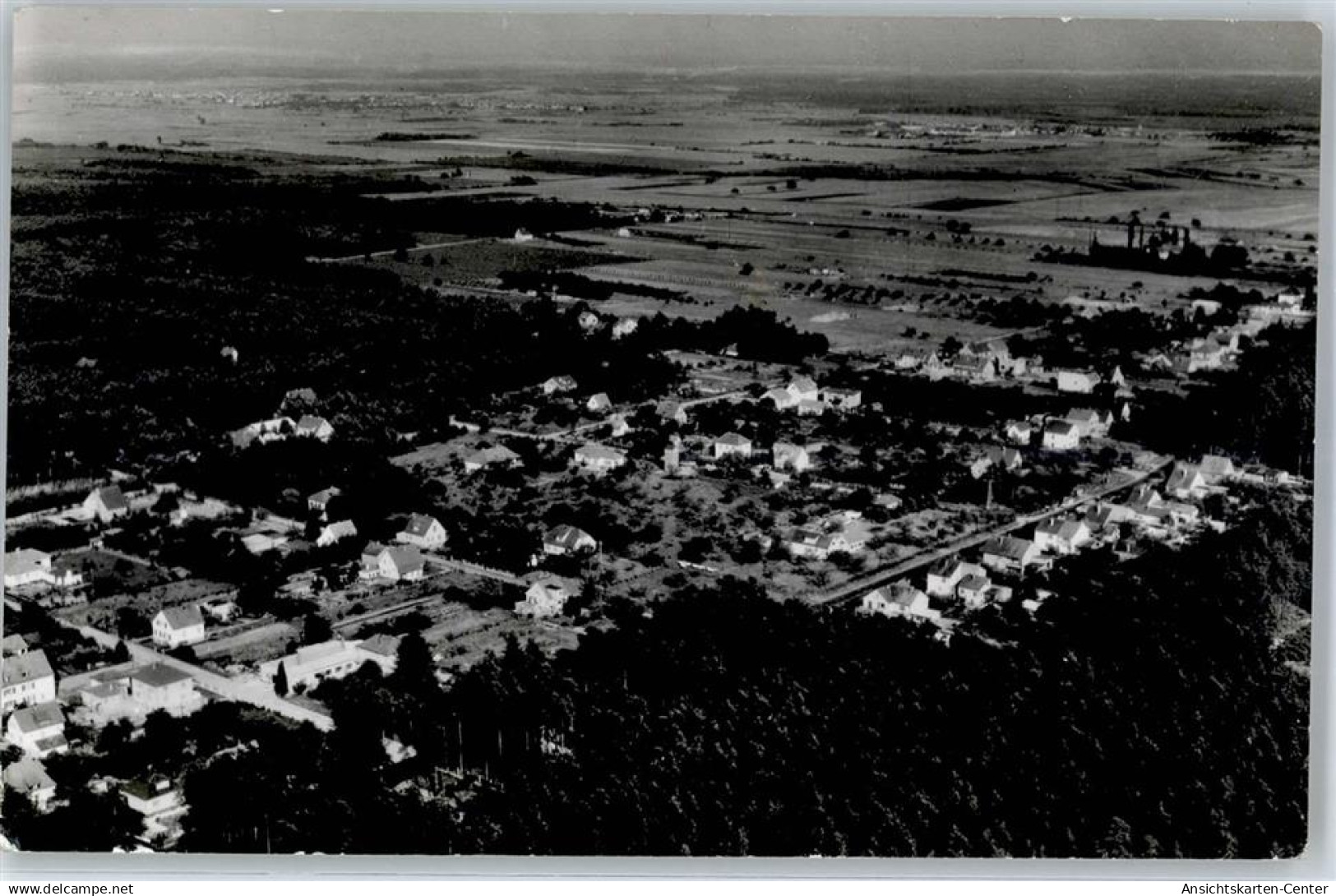 51435715 - Waldacker