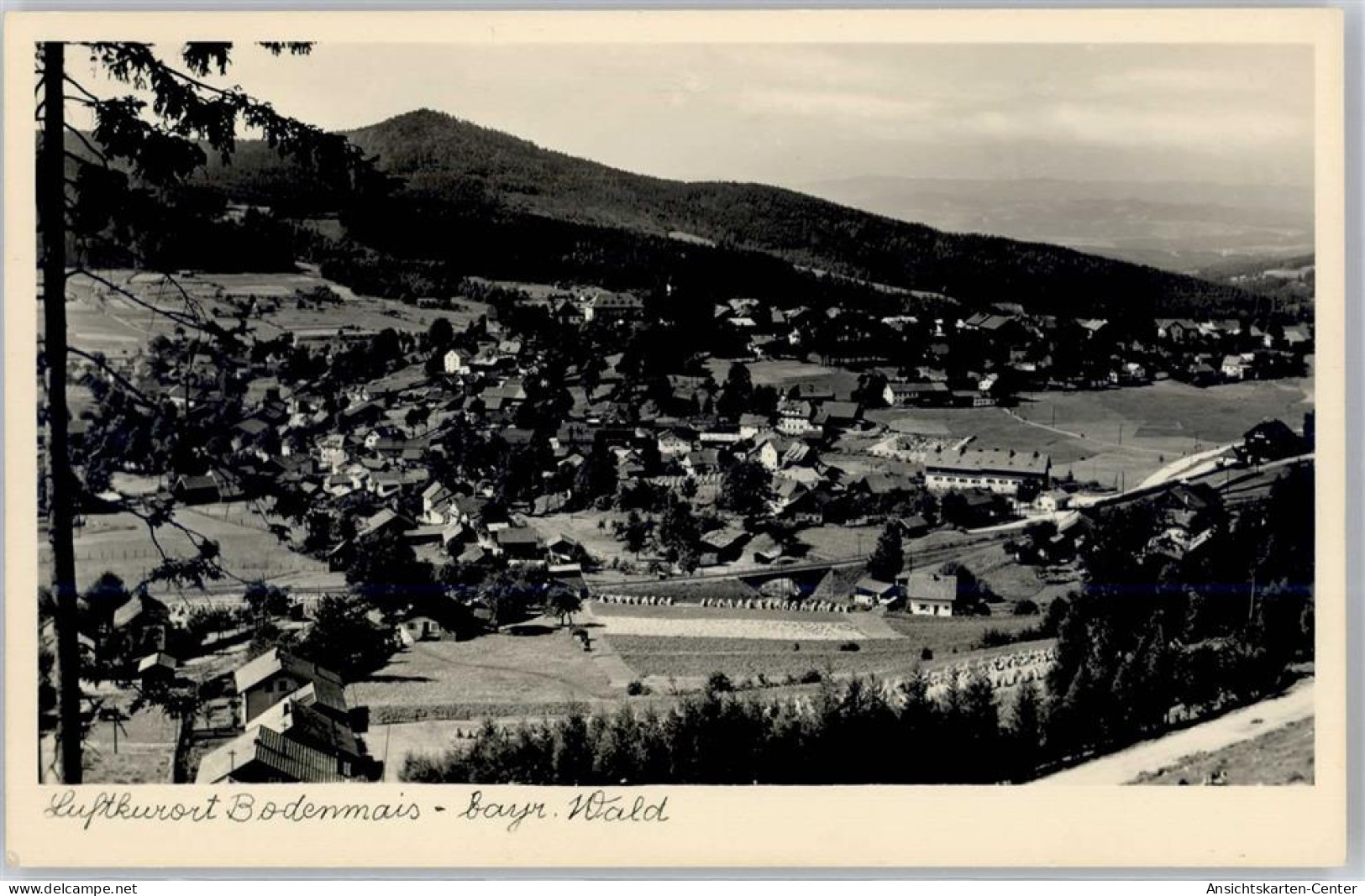 51457248 - Bodenmais