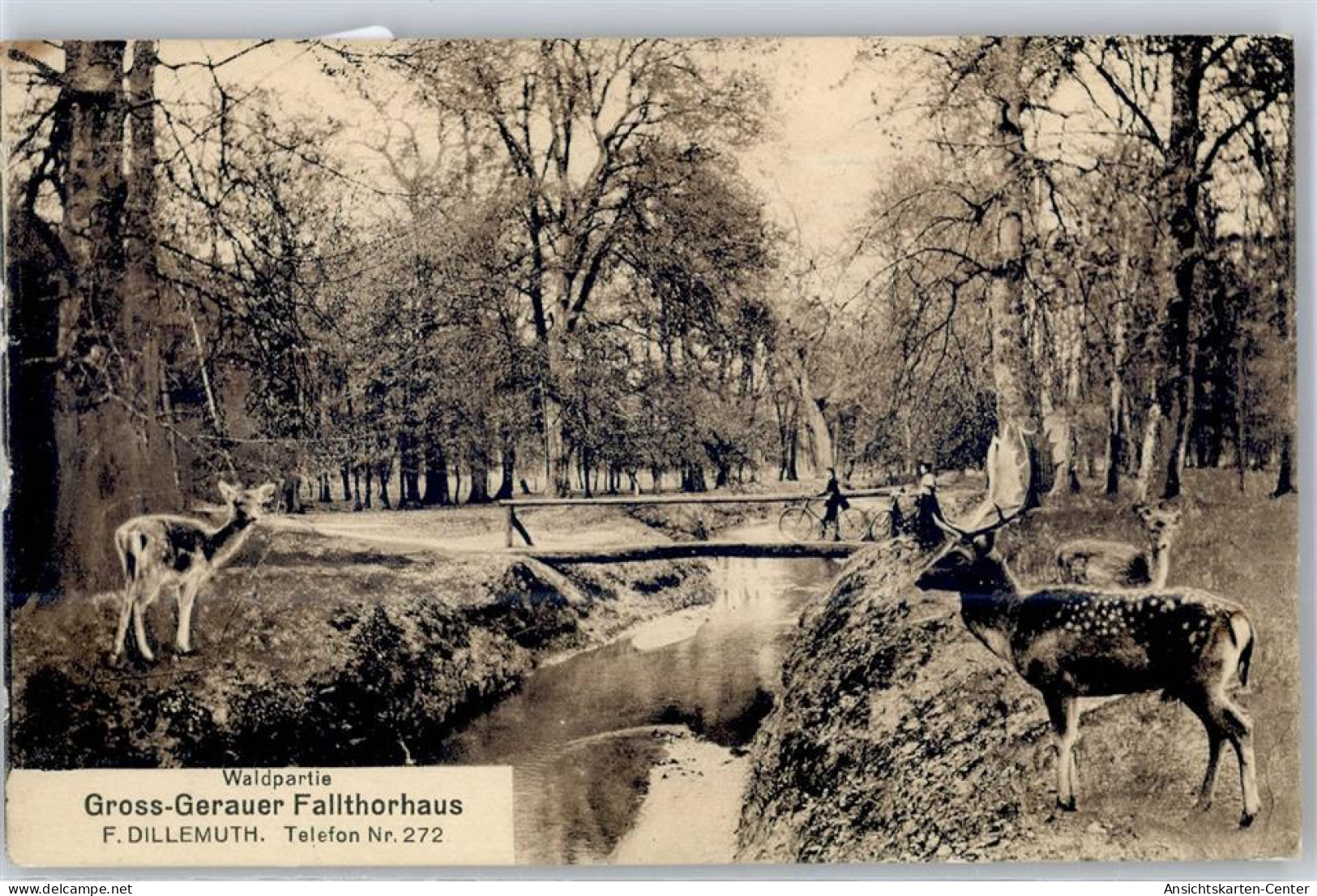 51457759 - Gross-Gerau