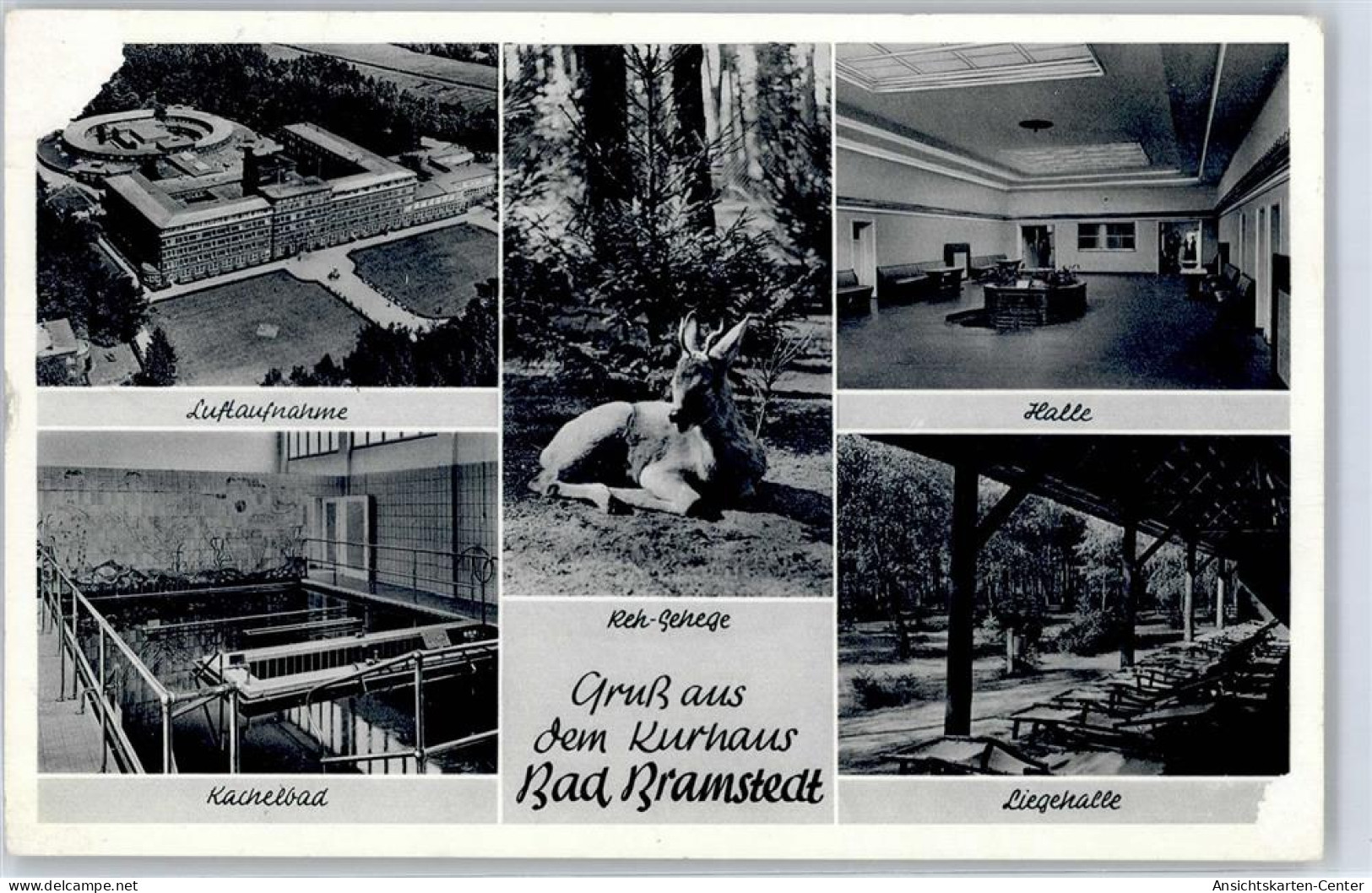 51458638 - Bad Bramstedt