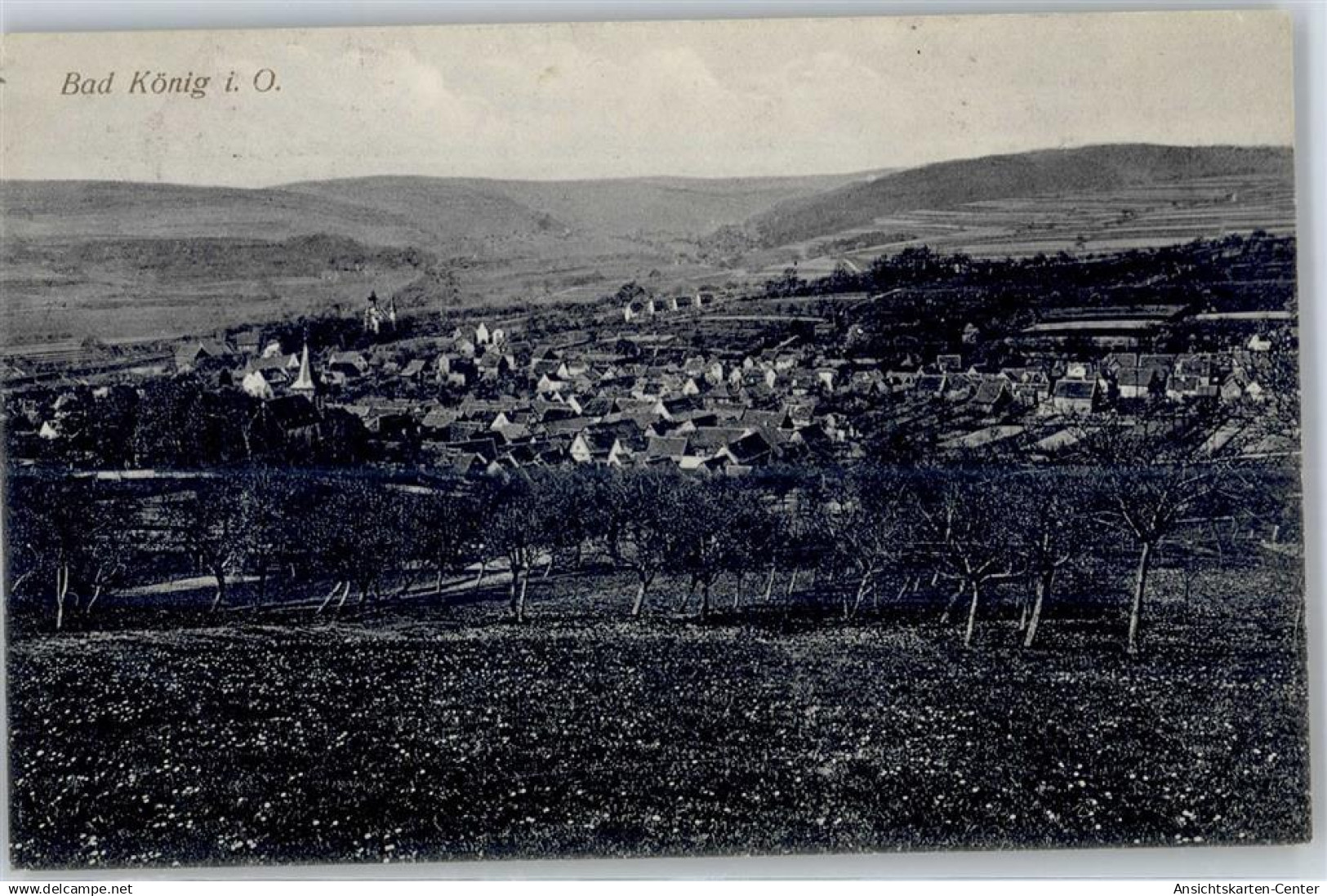 51460424 - Bad Koenig