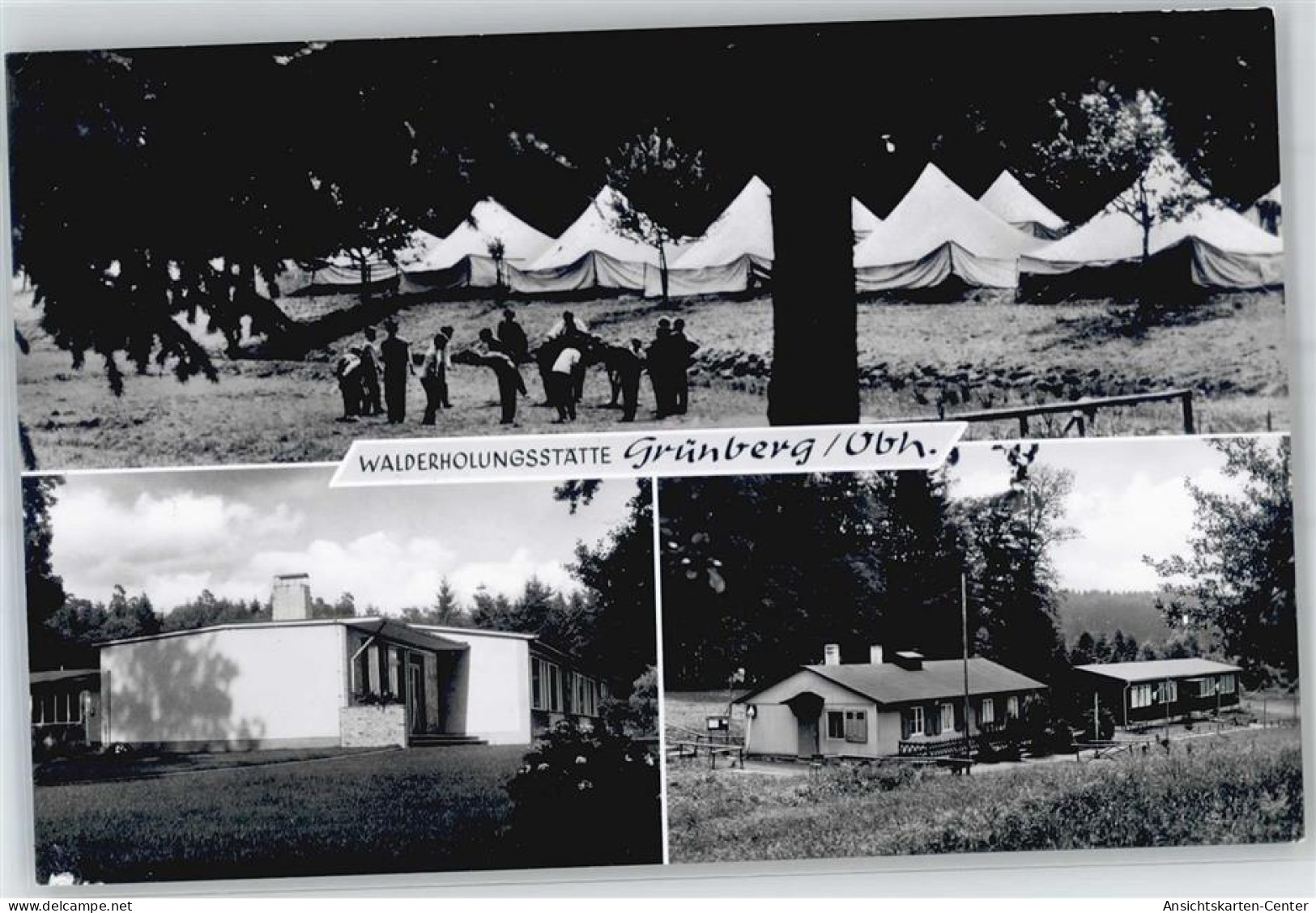 51468960 - Gruenberg , Hess