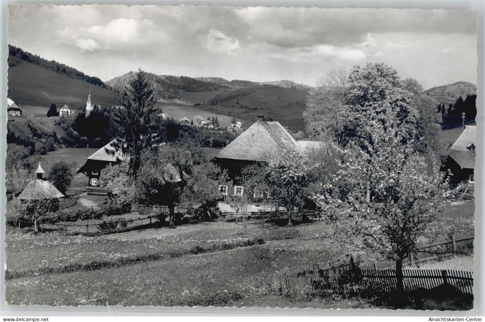51472050 - Bernau im Schwarzwald, Baden