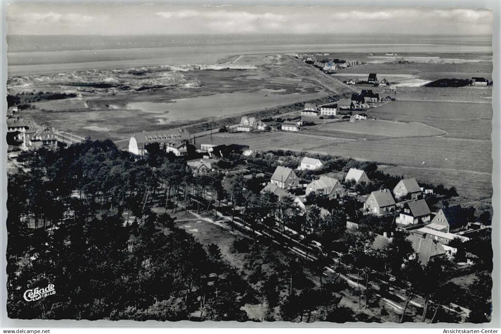 51474845 - St. Peter-Ording