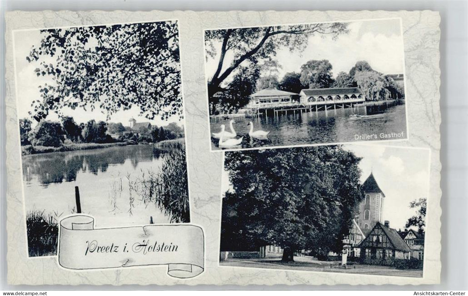 51475009 - Preetz , Holst