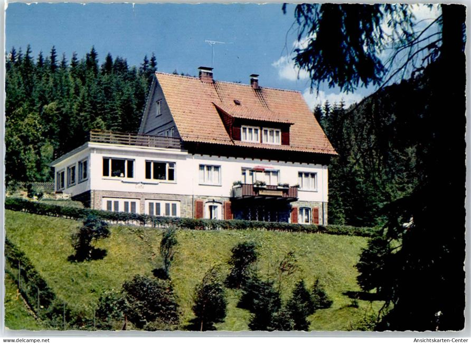 51477030 - Wildemann