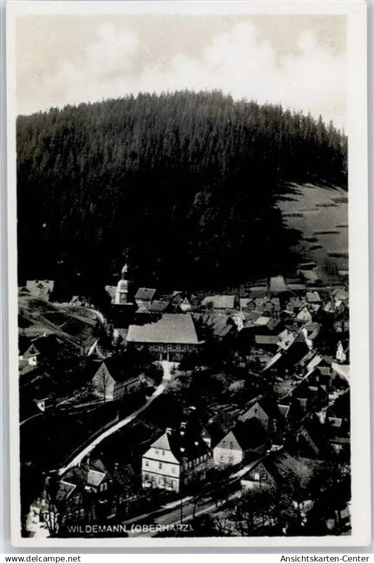 51477065 - Wildemann