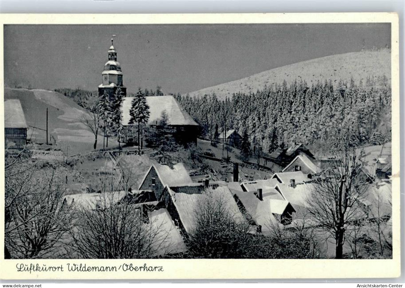 51477260 - Wildemann