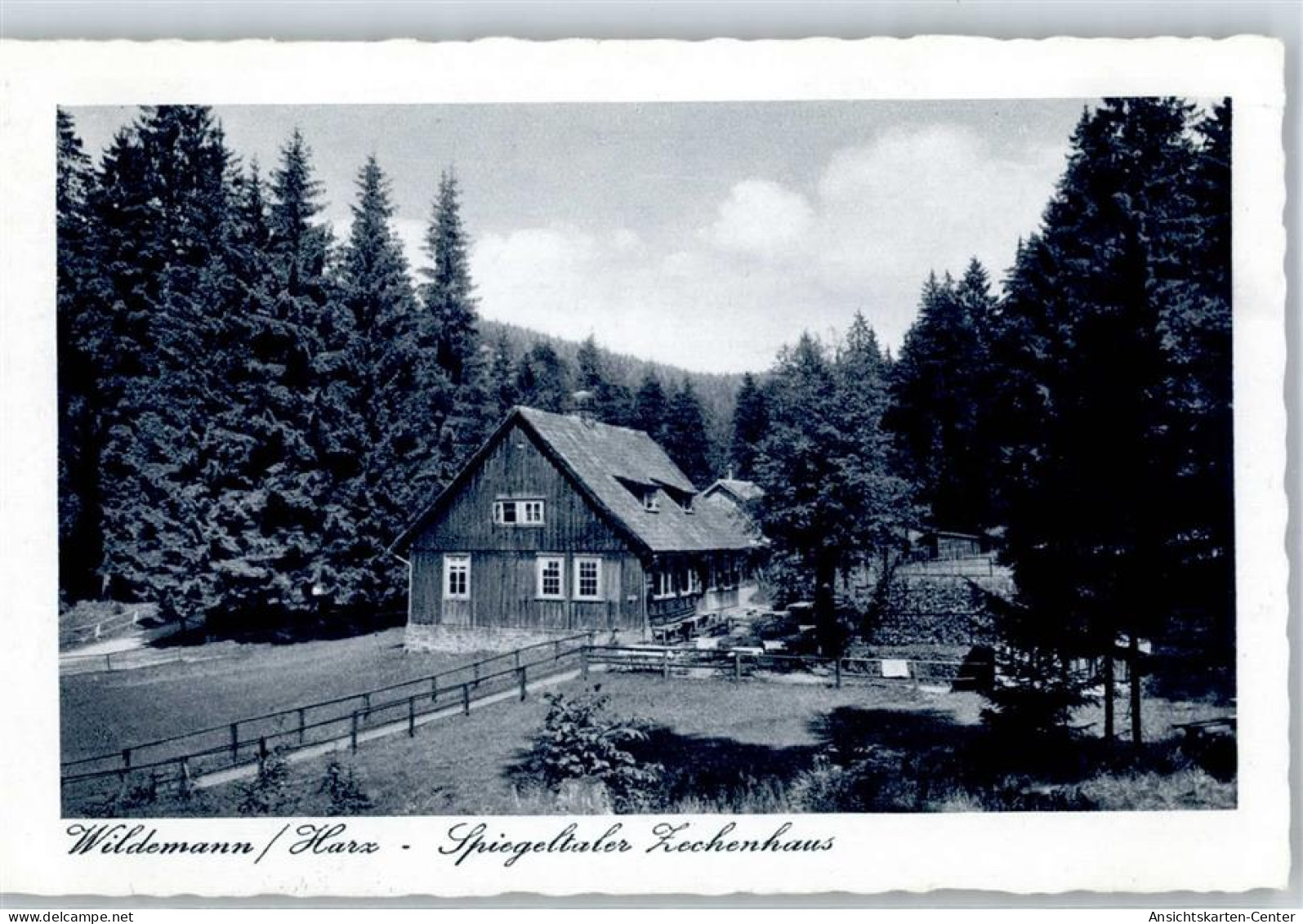51477706 - Wildemann