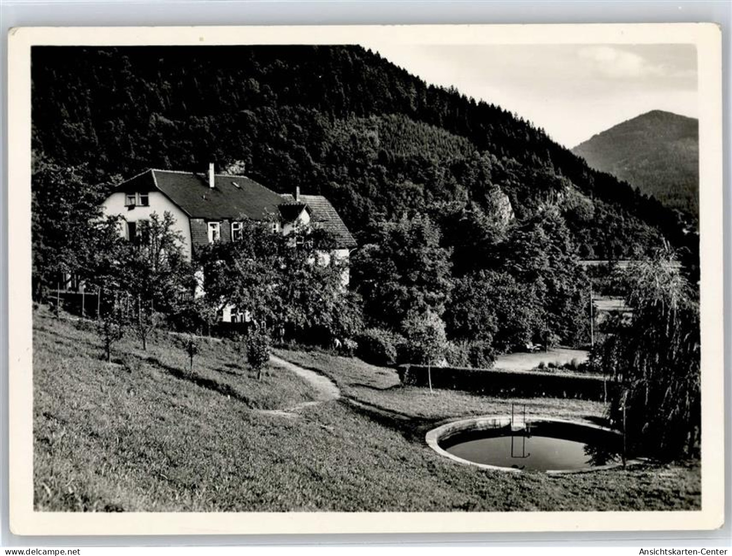 51477927 - Wolfach