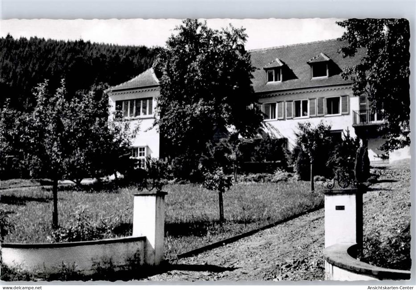 51478359 - Wolfach