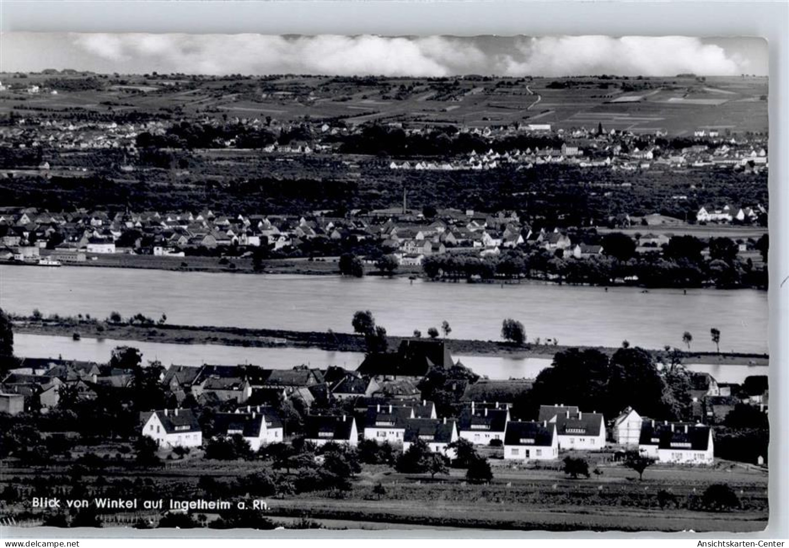 51480936 - Ingelheim am Rhein