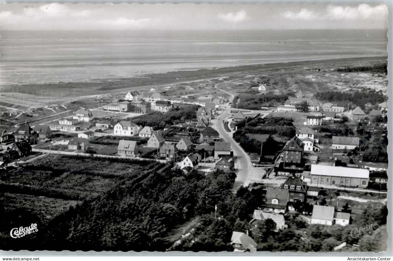 51484059 - St. Peter-Ording