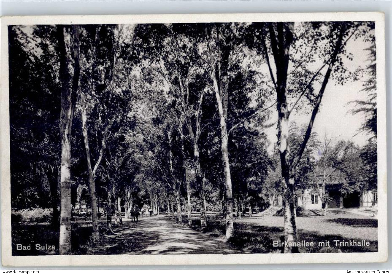 51485265 - Bad Sulza