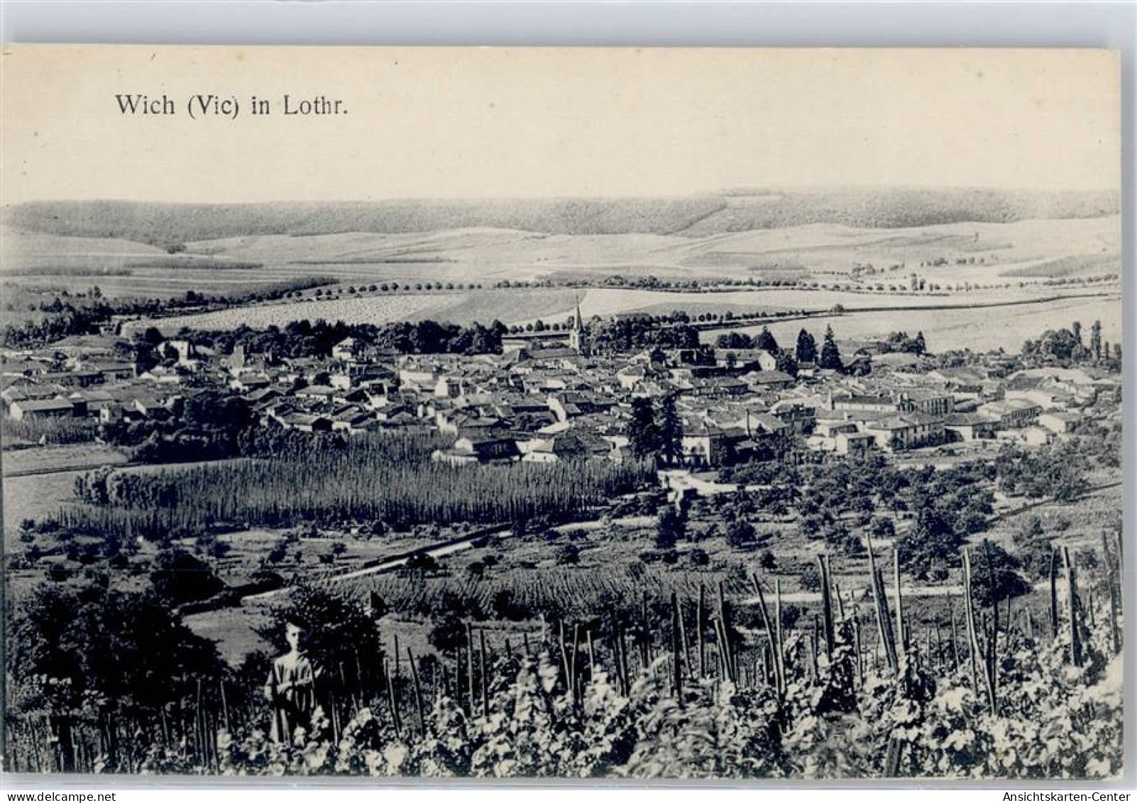 51485530 - Vic-sur-Seille