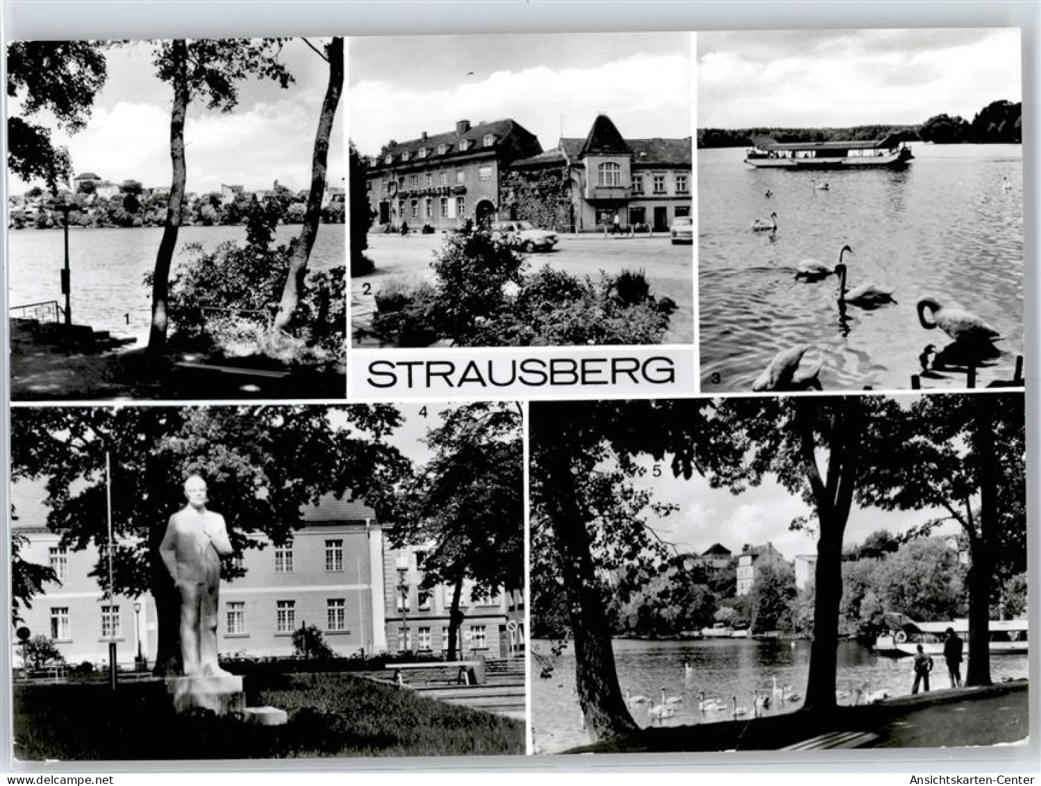 51489256 - Strausberg