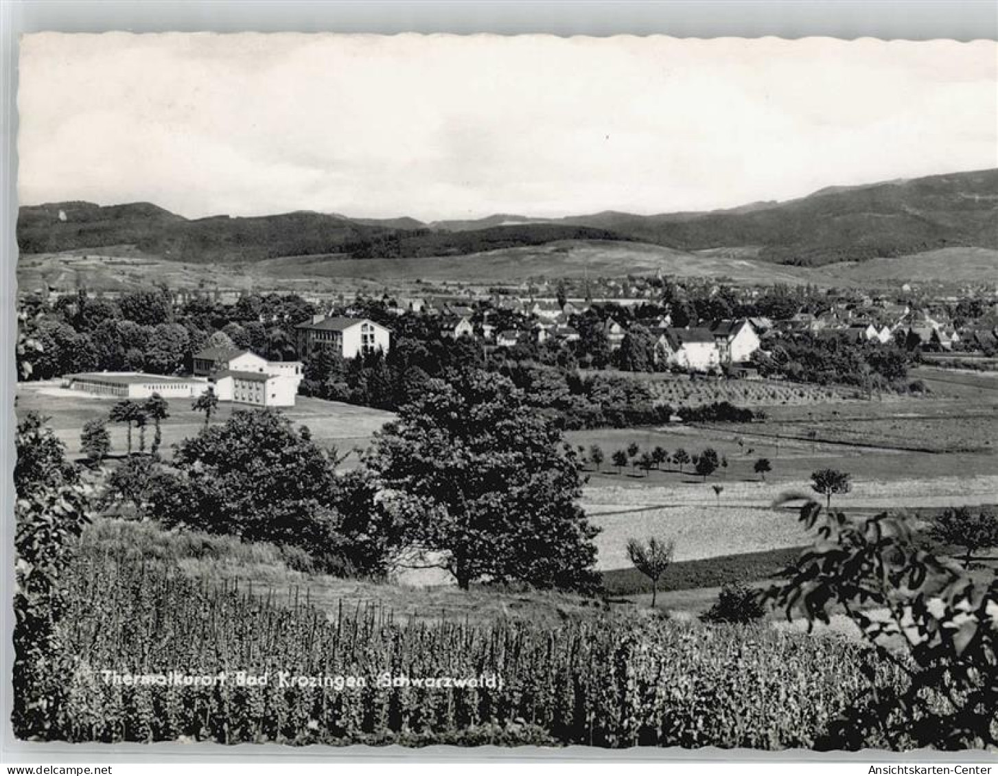 51489518 - Bad Krozingen