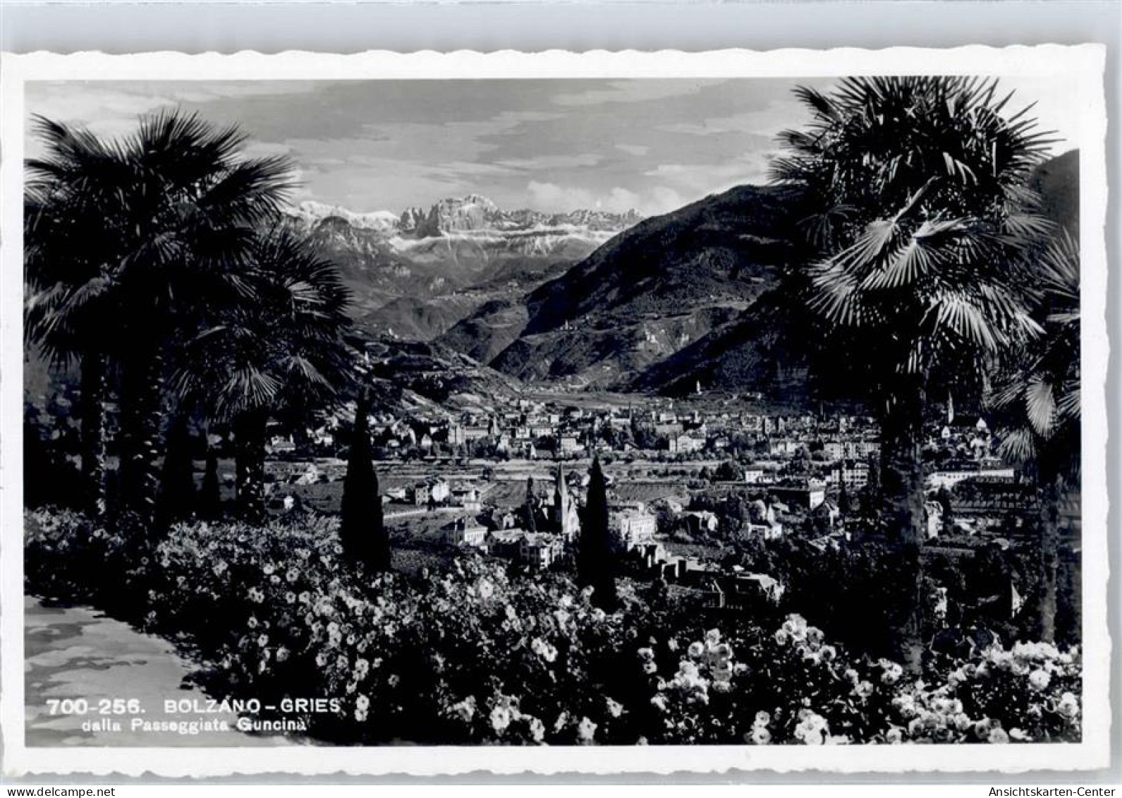 51499246 - Bolzano Bozen