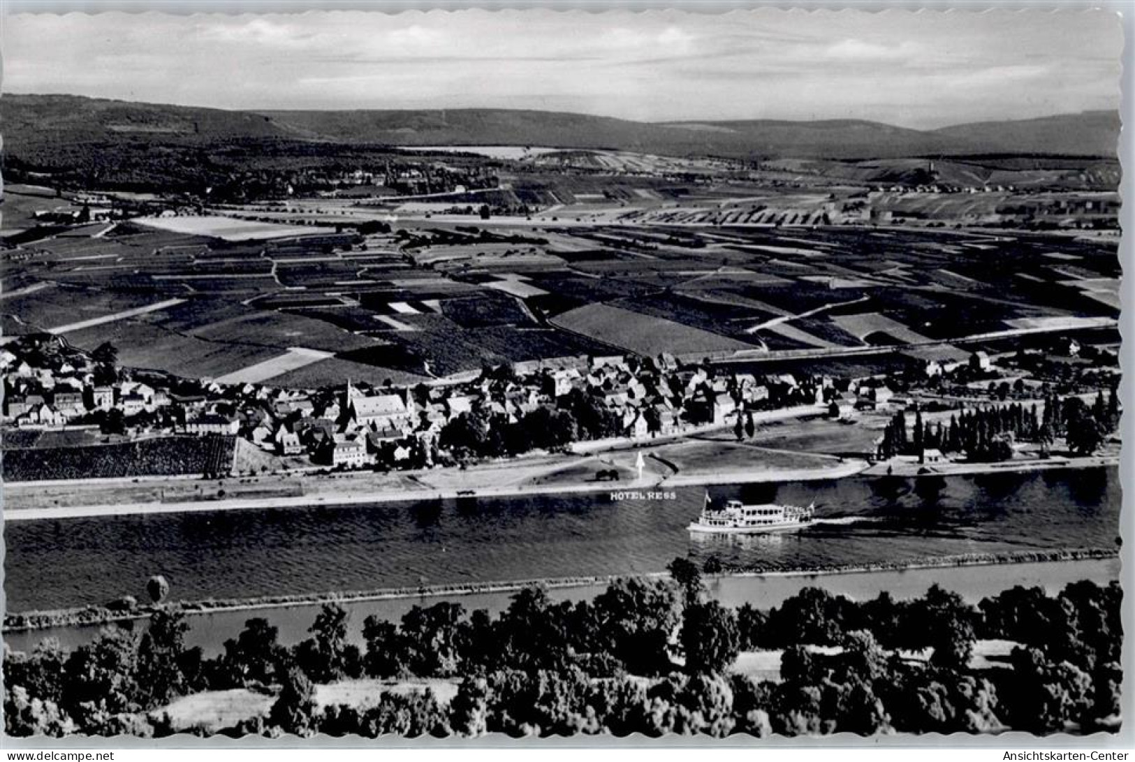 51502679 - Hattenheim , Rheingau