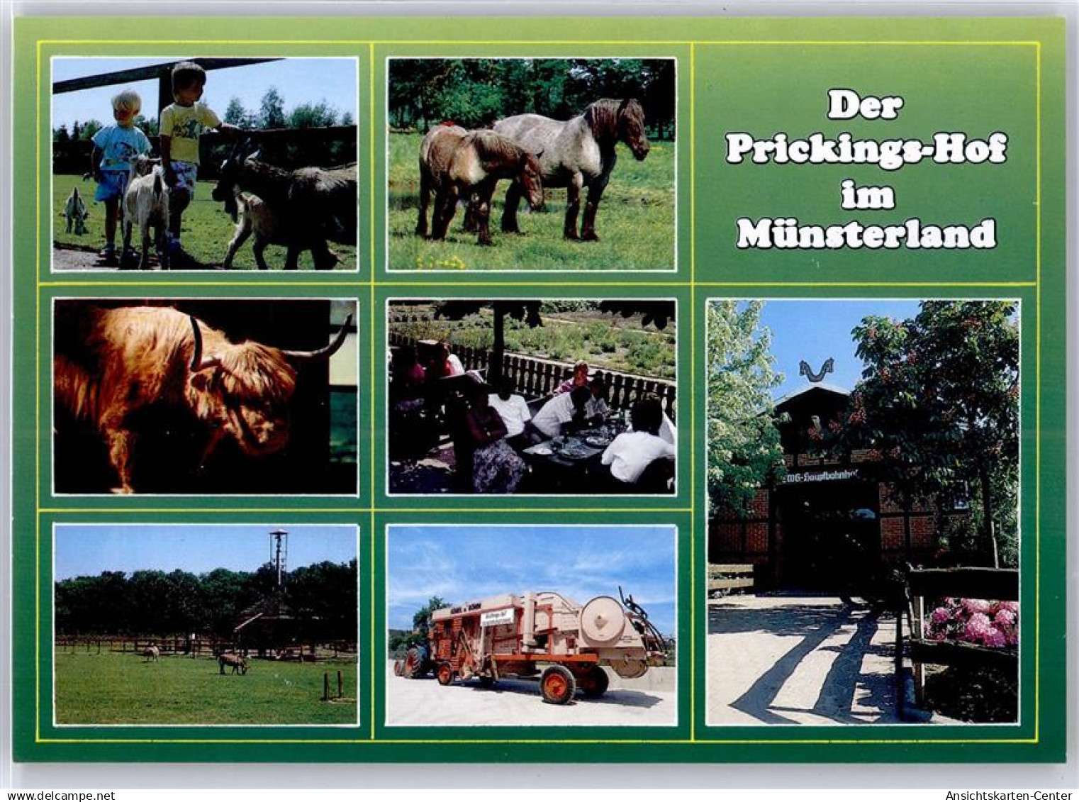 51505169 - Haltern , Westf