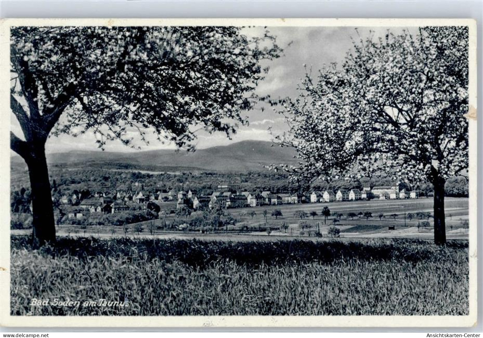 51505226 - Bad Soden am Taunus